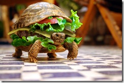 turtle_burger
