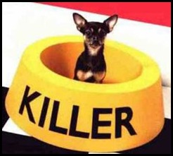 killer-funny-dog