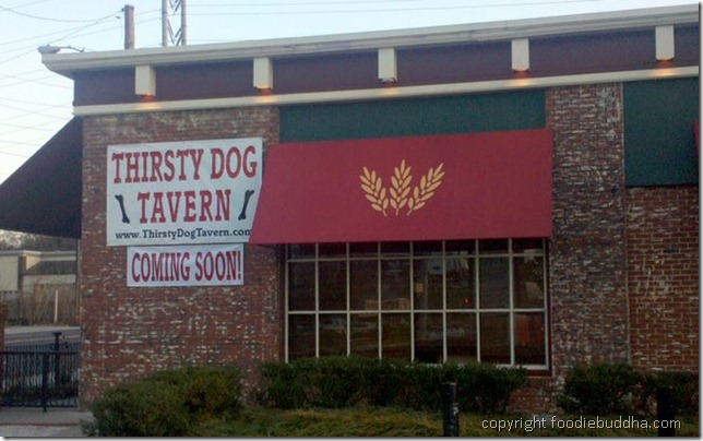 thirsty dog tavern
